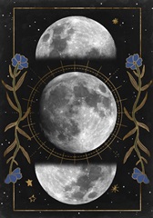 Night Moon Collection B