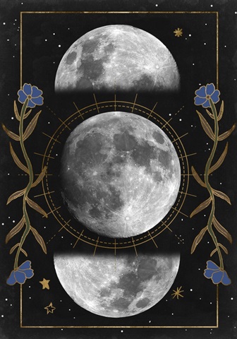 Night Moon Collection B