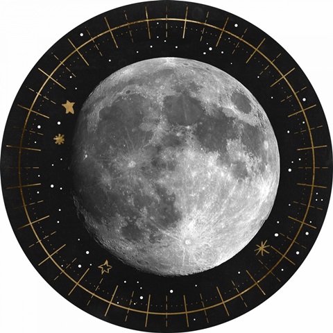 Night Moon Collection C