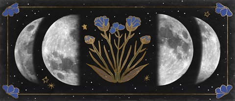 Night Moon Collection D