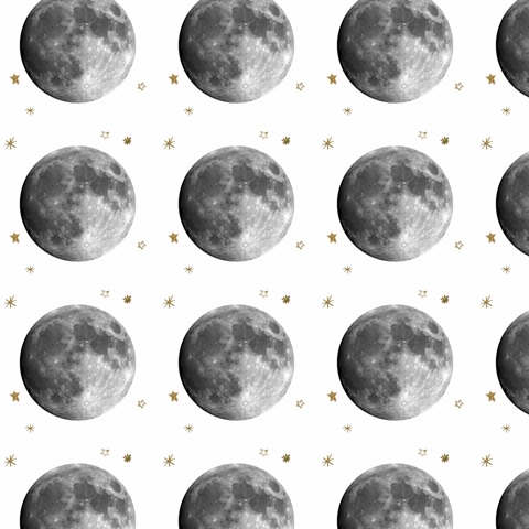 Night Moon Collection G