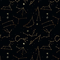 Night Moon Collection H