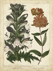 Non-Embellish Enchanted Garden IV