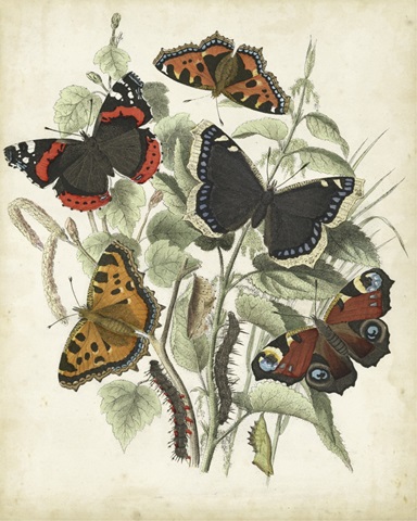 Non-Embellished Butterfly Haven I