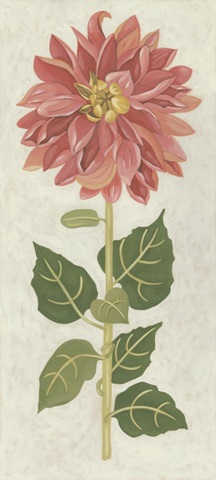 Non-Embellished Dahlia I