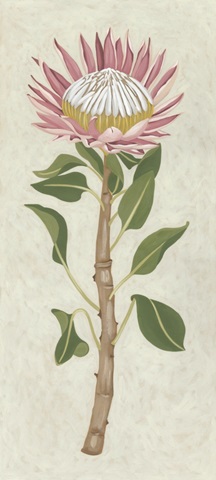 Non-Embellished Protea I
