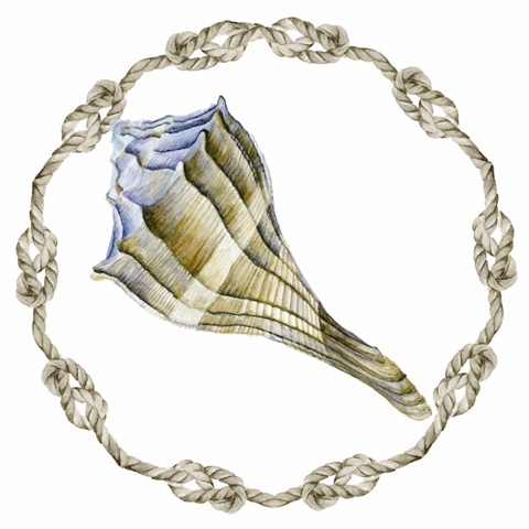 Ocean Deep Collection F