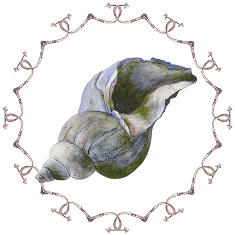 Ocean Deep Collection G