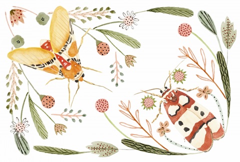 On Stage Collection A