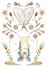 On Stage Collection B