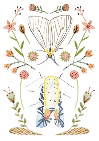 On Stage Collection B