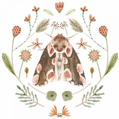 On Stage Collection C