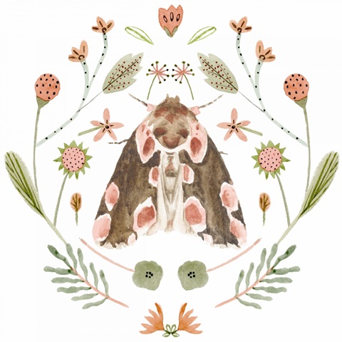 On Stage Collection C