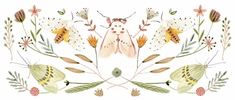 On Stage Collection D