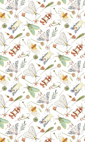 On Stage Collection E