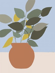 Ordinary Houseplant II