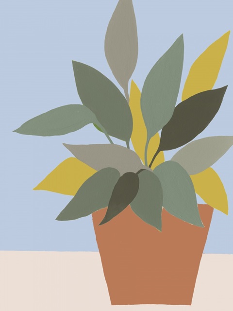 Ordinary Houseplant IV