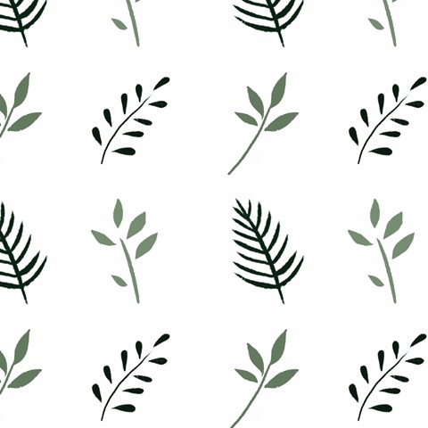 Park People Collection F