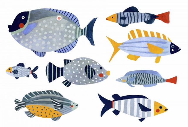 Patterned Fish Collection A