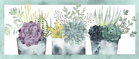 Plant Happiness Collection D