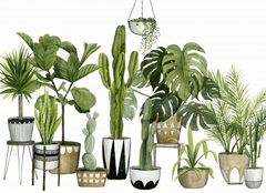 Plant Haven Collection A