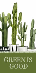 Plant Haven Collection B