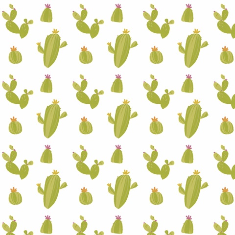 Pom Pom Llama Rama Collection G