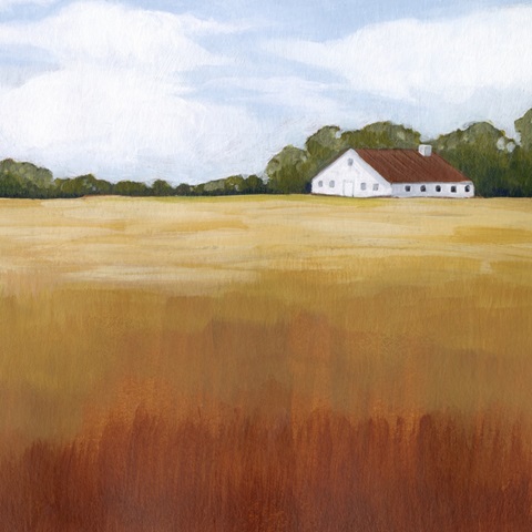 Prairie Premise II