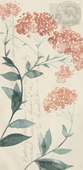 Pressed Flowers Collection B