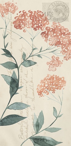 Pressed Flowers Collection B