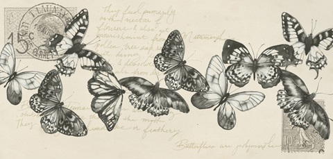 Pressed Flowers Collection C