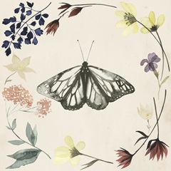 Pressed Flowers Collection E