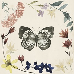 Pressed Flowers Collection F