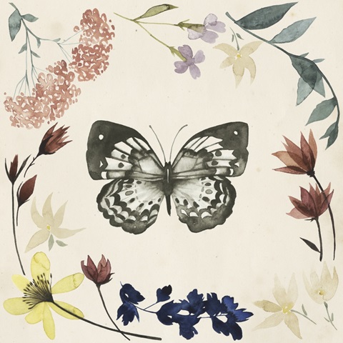 Pressed Flowers Collection F