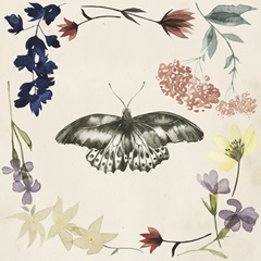 Pressed Flowers Collection G