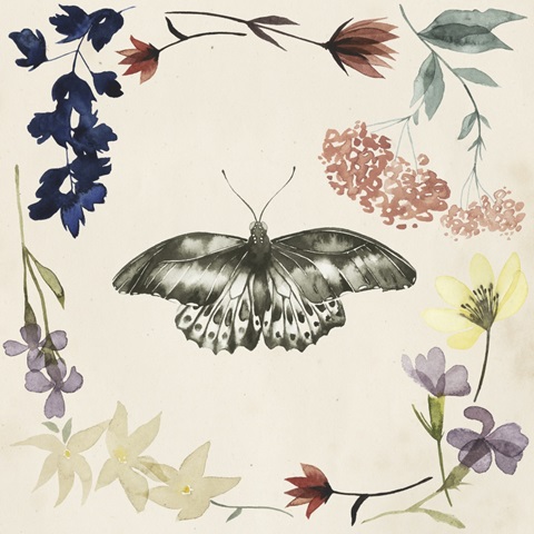 Pressed Flowers Collection G