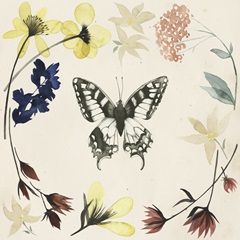 Pressed Flowers Collection H