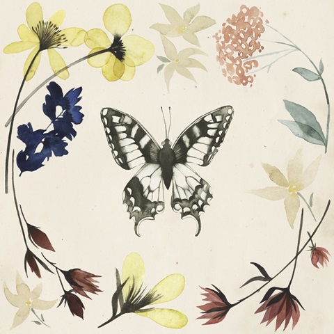 Pressed Flowers Collection H