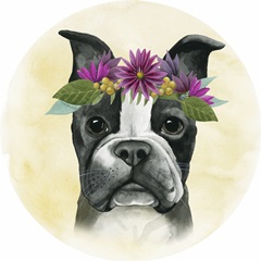 Pretty Paws Collection F