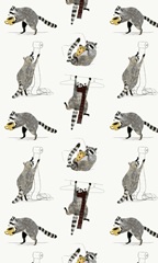 Rascally Raccoon Collection E