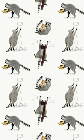 Rascally Raccoon Collection E