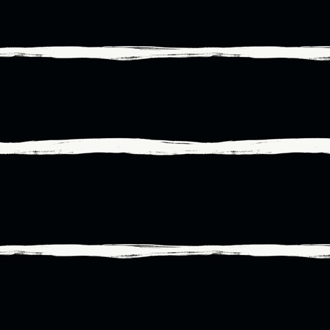 Rascally Raccoon Collection G