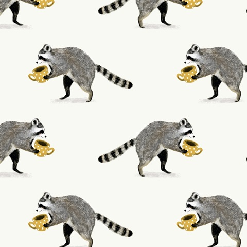 Rascally Raccoon Collection H