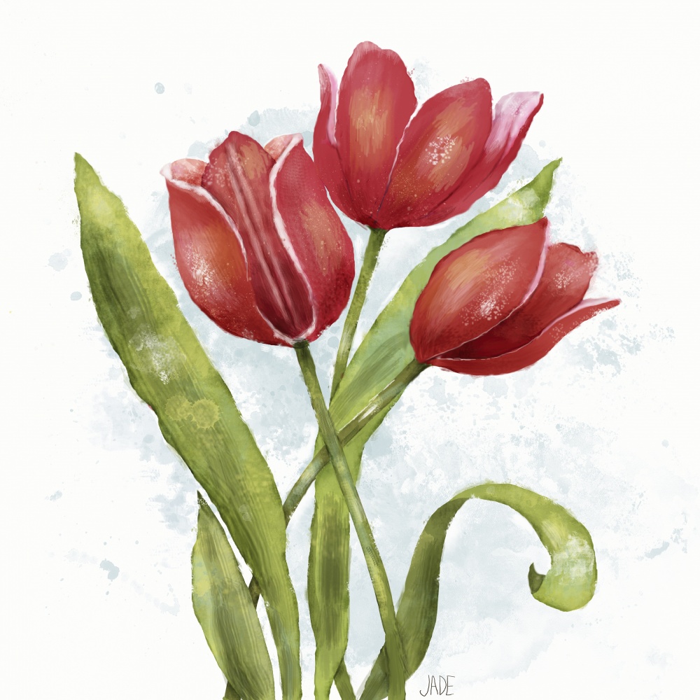 Red Tulip Splash II (#2717074) - The World Art Group