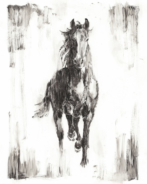 Rustic Black Stallion I