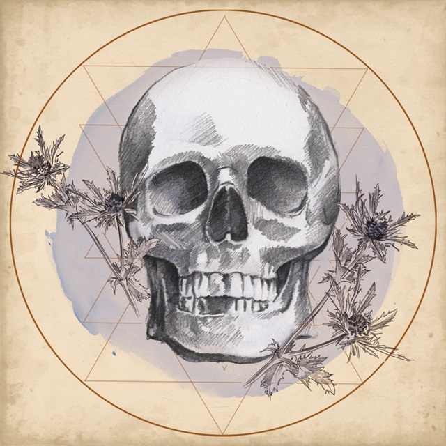 Skull Thistle I