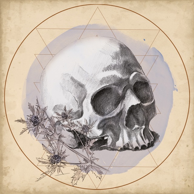 Skull Thistle II