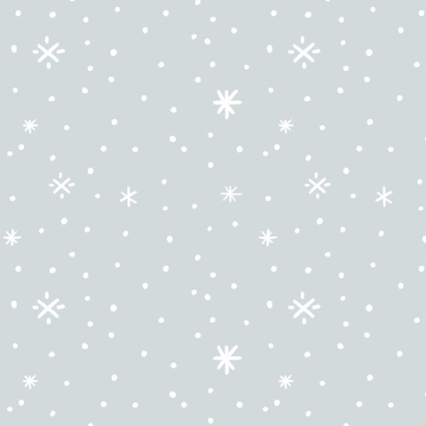 Snow Globe Village Collection H