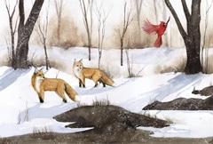 Snowland Collection A