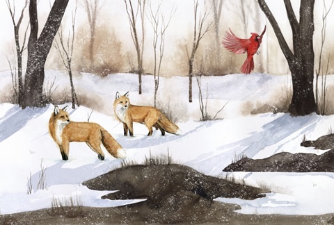 Snowland Collection A